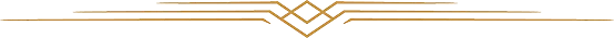 Temecula Limos decorative gold line divider